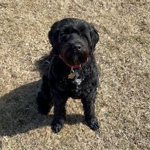 Meet your Posher, Avery